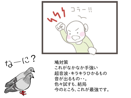 鳩対策 いもと不動産