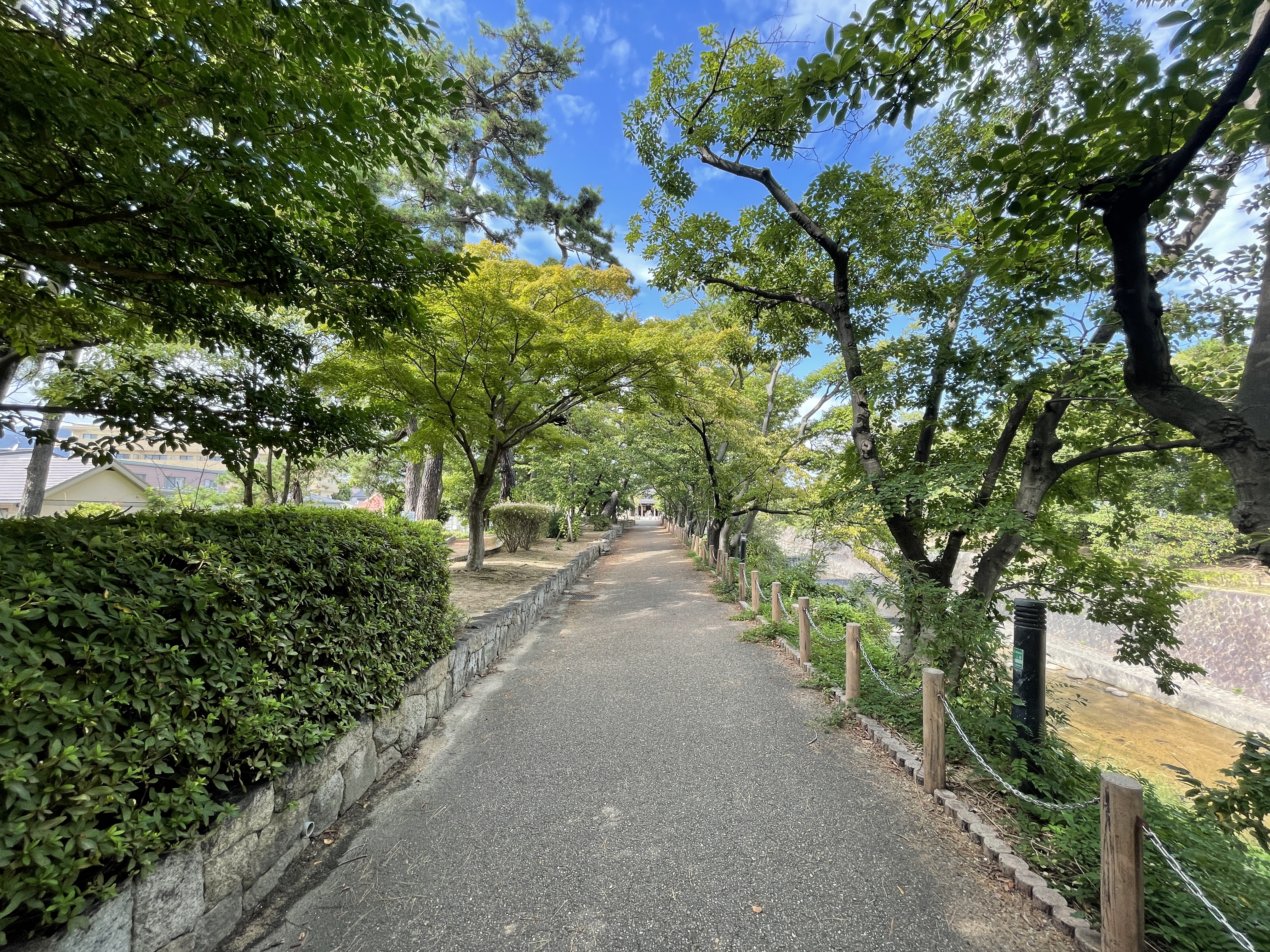 有名なさくら並木で春に賑わう”夙川フラワーロード”<br />
大きな桜や松の木が日影を作ってくれて、<br />
自然豊かで涼やかな場所になっています。<br />
お散歩される方やジョギングされる方、<br />
毎日の通勤通学コースにされていらっしゃる方など<br />
地域の皆様に親しまれています。